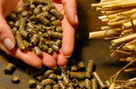 free Sealand biomass boiler quotes